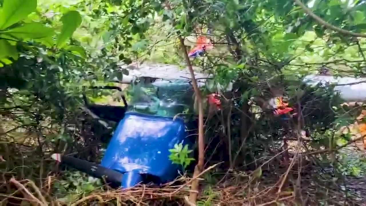Four injured when training plane crashes into jungle in the Philippines