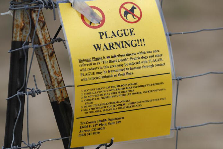 Arizona resident dies of pneumonic plague