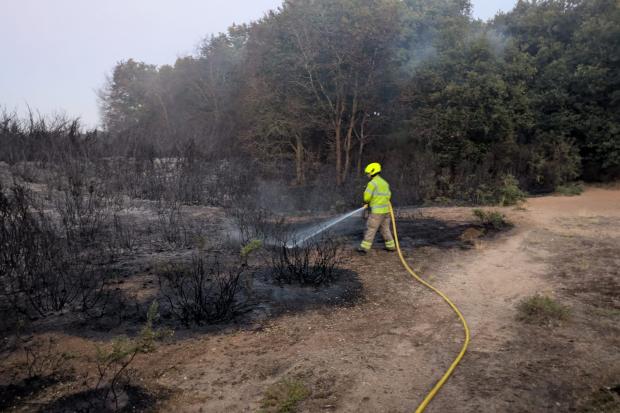 Pictures show scene at Middlewick Ranges as 25 firefighters work to put ...