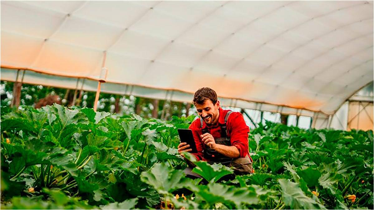 educación digital en entornos rurales españoles