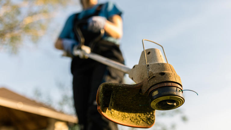 What Kind Of Oil Do Weed Eaters Need And How Often Should You Change It?