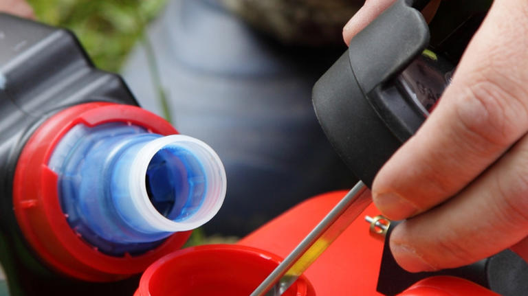 What Kind Of Oil Do Weed Eaters Need And How Often Should You Change It?