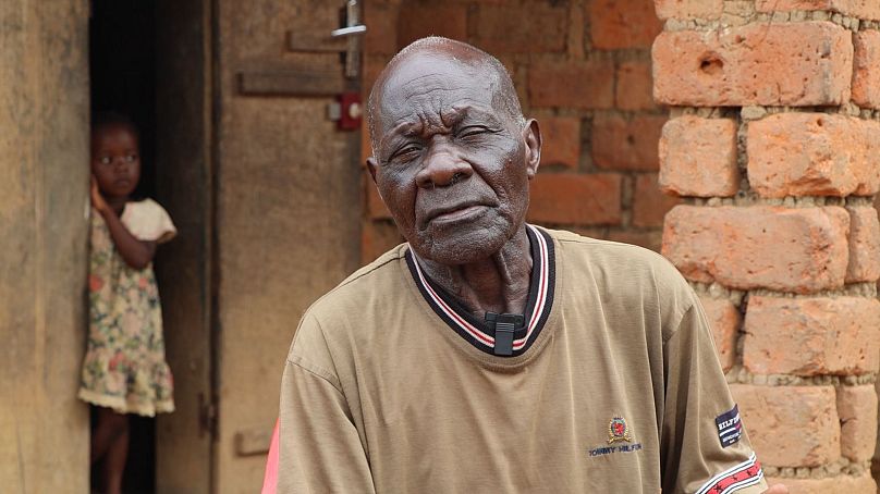 EU biofuel projects in the ‘breadbasket of Congo’ could threaten food security, investigation finds