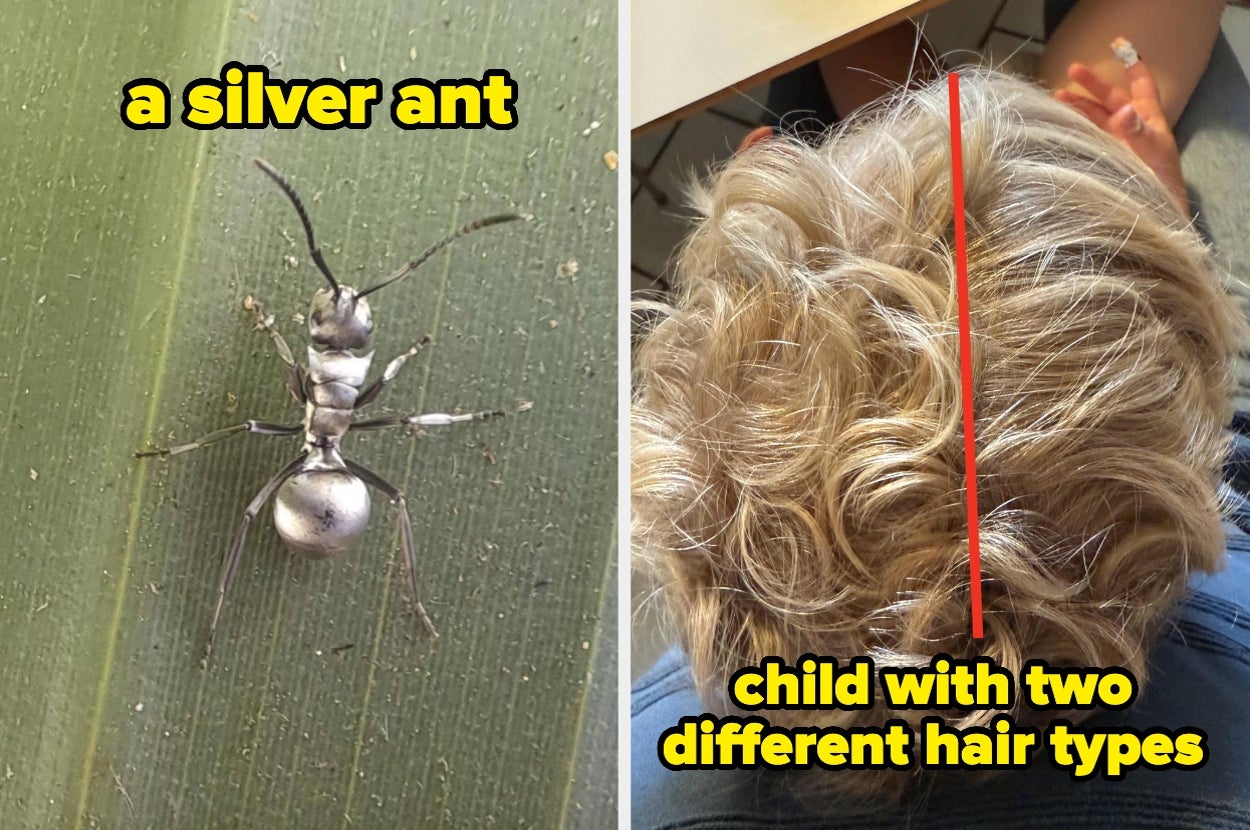 21 Extremely Rare Photos That'll Change Your Perception Of The Entire World