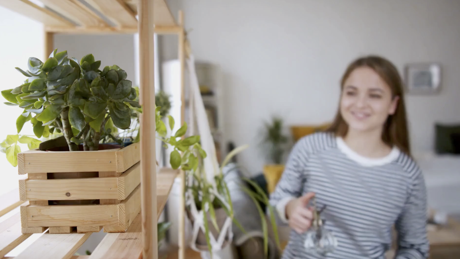 10 Things Around Your House That Attract Dust and Mold