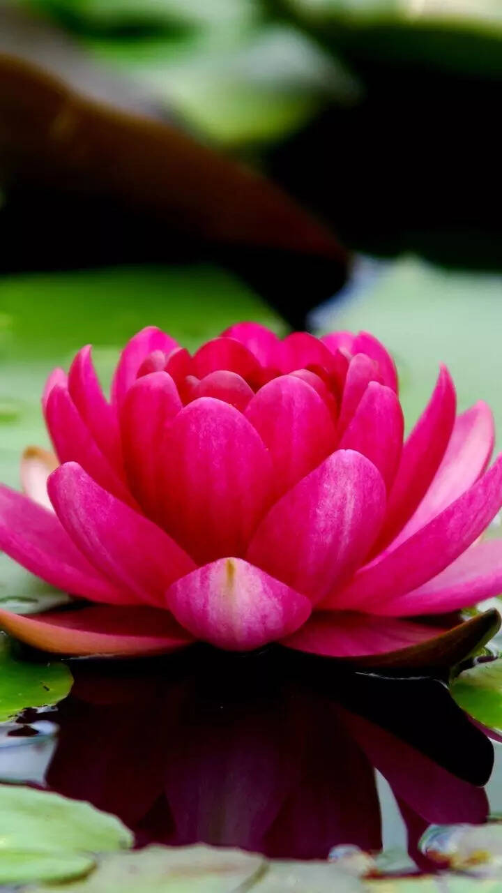 The most dangerous cities in Africa