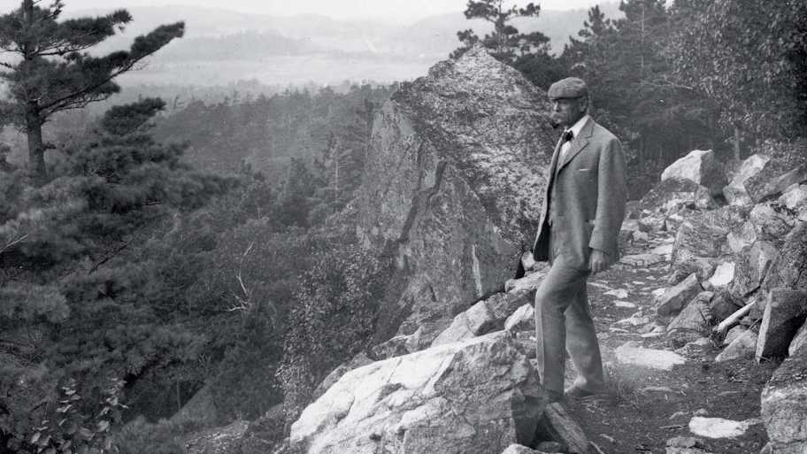 How Artists Put Acadia National - AA1IvyRZ.img