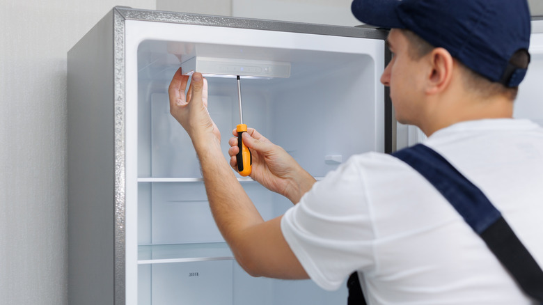 No, You Shouldn't Use A Regular Light Bulb In A Refrigerator - Here's Why