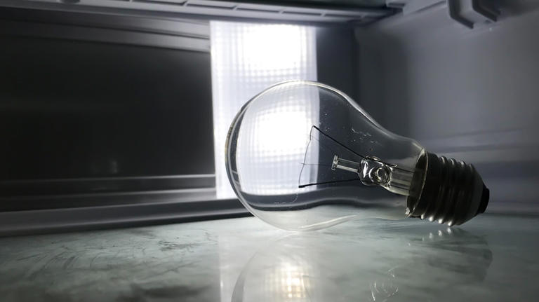 No, You Shouldn't Use A Regular Light Bulb In A Refrigerator - Here's Why