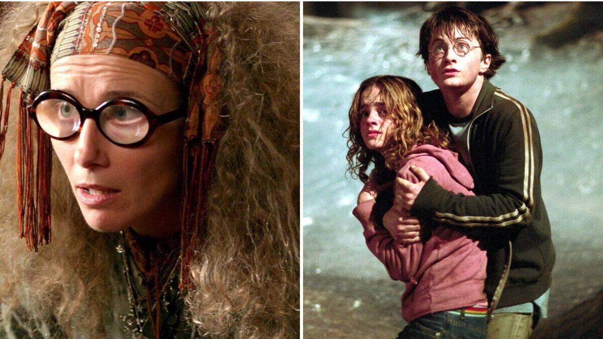 The Wildest 'Harry Potter' Fan Theories About The Series