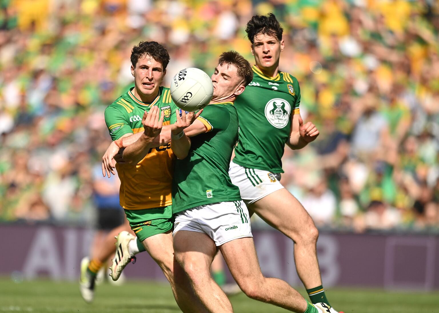 Meath ratings: Eoghan Frayne fights a lone furrow up front in one-sided ...