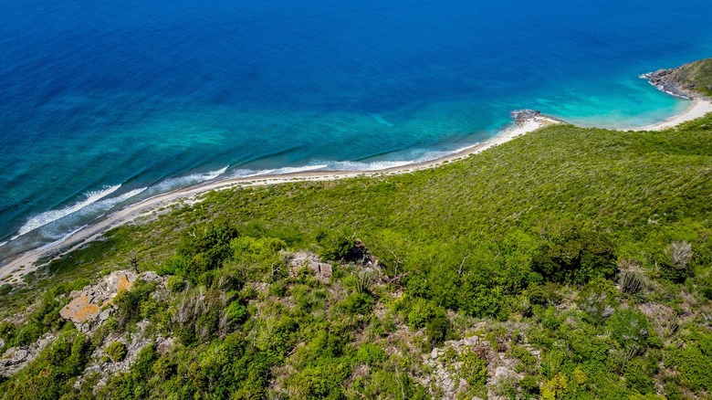 One Of Florida 39 s Prettiest Downtowns - AA1IwRPP.img