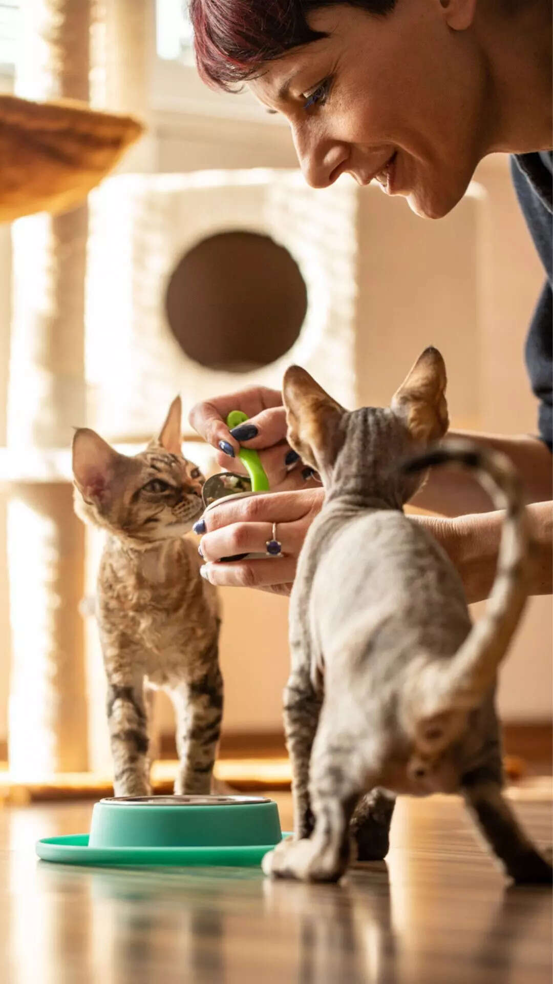 9 foods you should never feed your cat