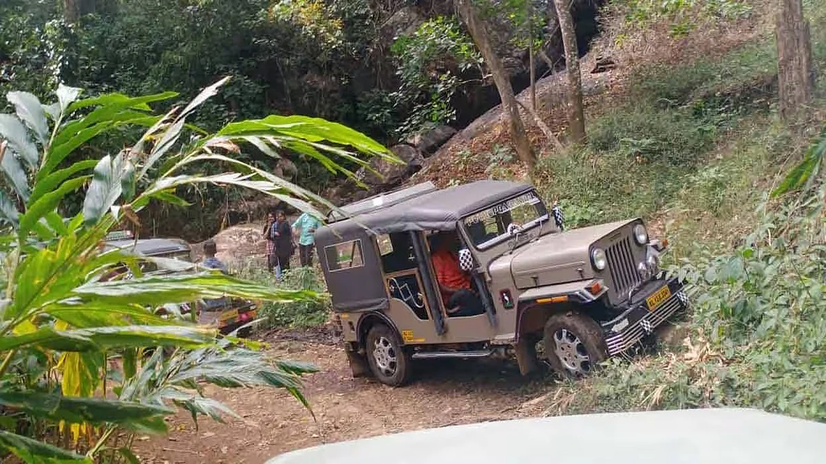 Jeep safaris to resume in Idukki - AA1IyQze.img