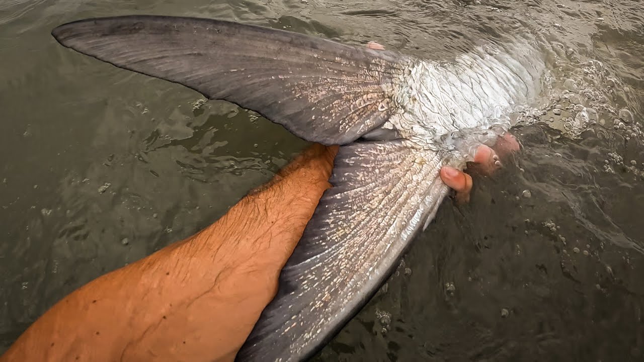 Dream Fishing with Monster Fish in the Surf