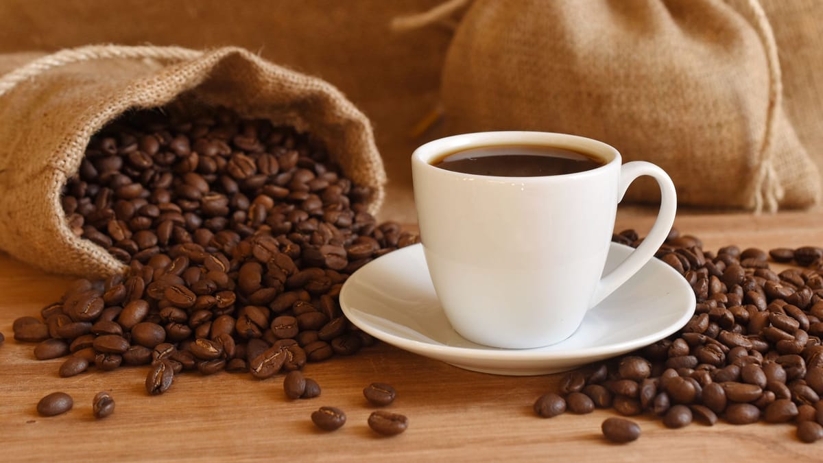 Lavazza Testsieger Stiftung Warentest