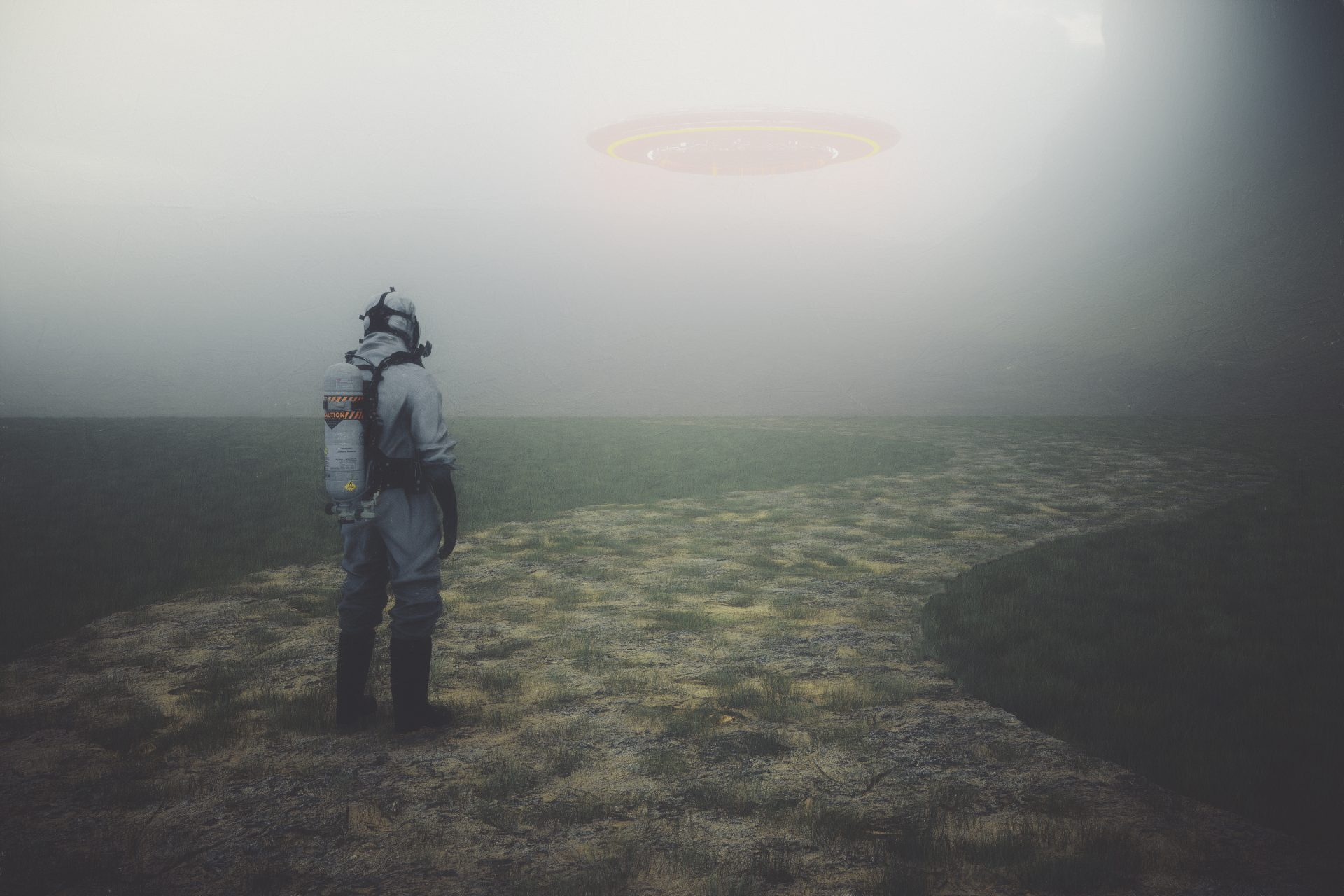 Wie zijn de cryptoterrestrials?