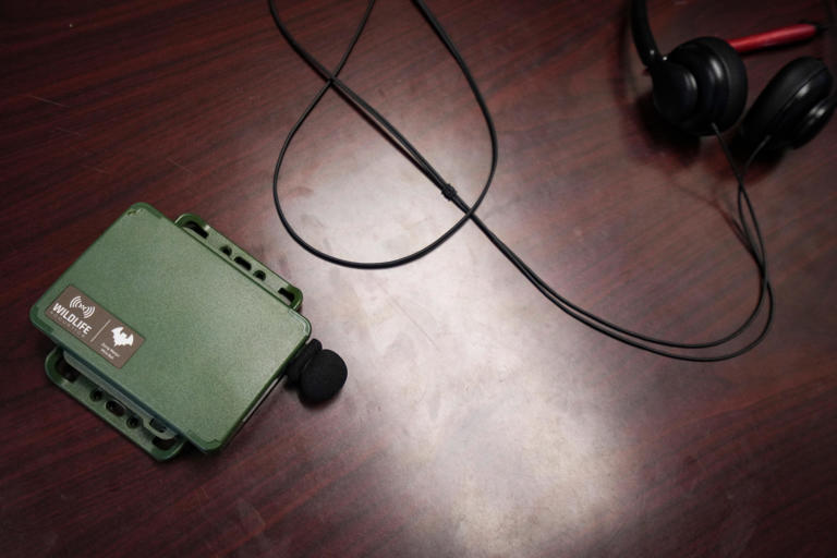 Did you know there are listening devices in the Meadowlands? Here's ...