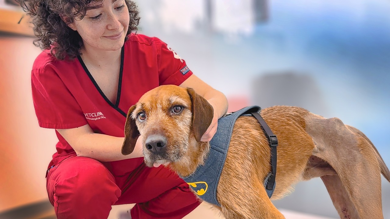 The Shocking Conclusion to Story