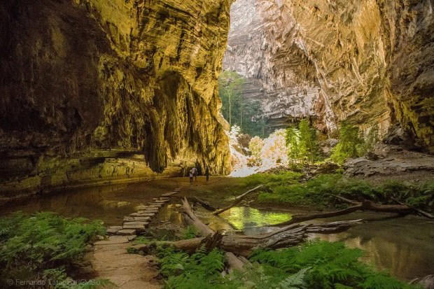 Dia da Caatinga: destinos turísticos no bioma exclusivo do Brasil