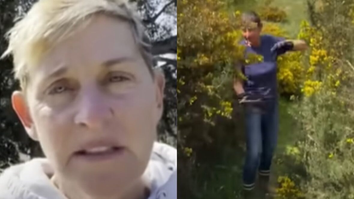 Ellen DeGeneres Finally Reveals The Real Reason She Fled America For