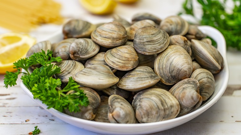 10 Different Types Of Clams And How To Serve Them