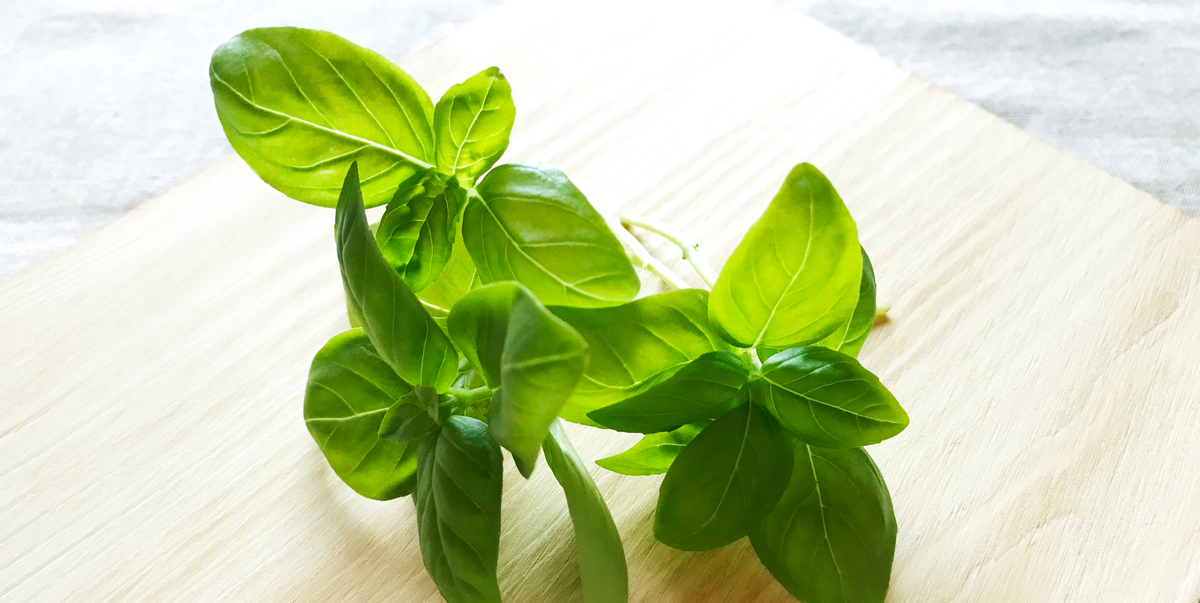 Here's How to Grow Fresh and Flavorful Basil at Home