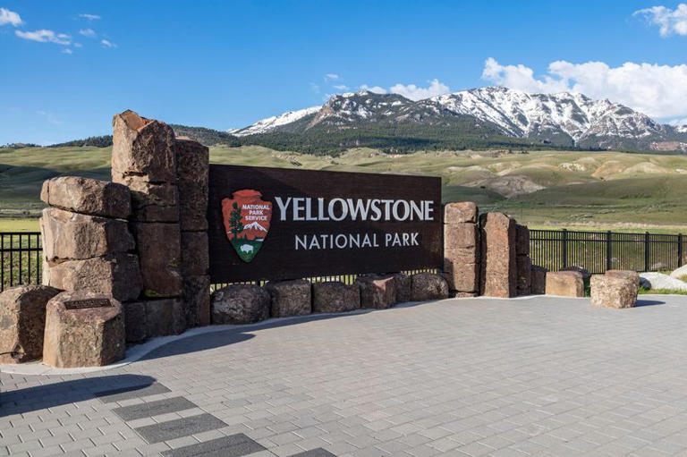 La entrada norte del Parque Nacional de Yellowstone, el lugar salvaje, se ha vuelto más concurrido a medida que los visitantes acuden en masa para ver dónde se filmó la serie de televisión.