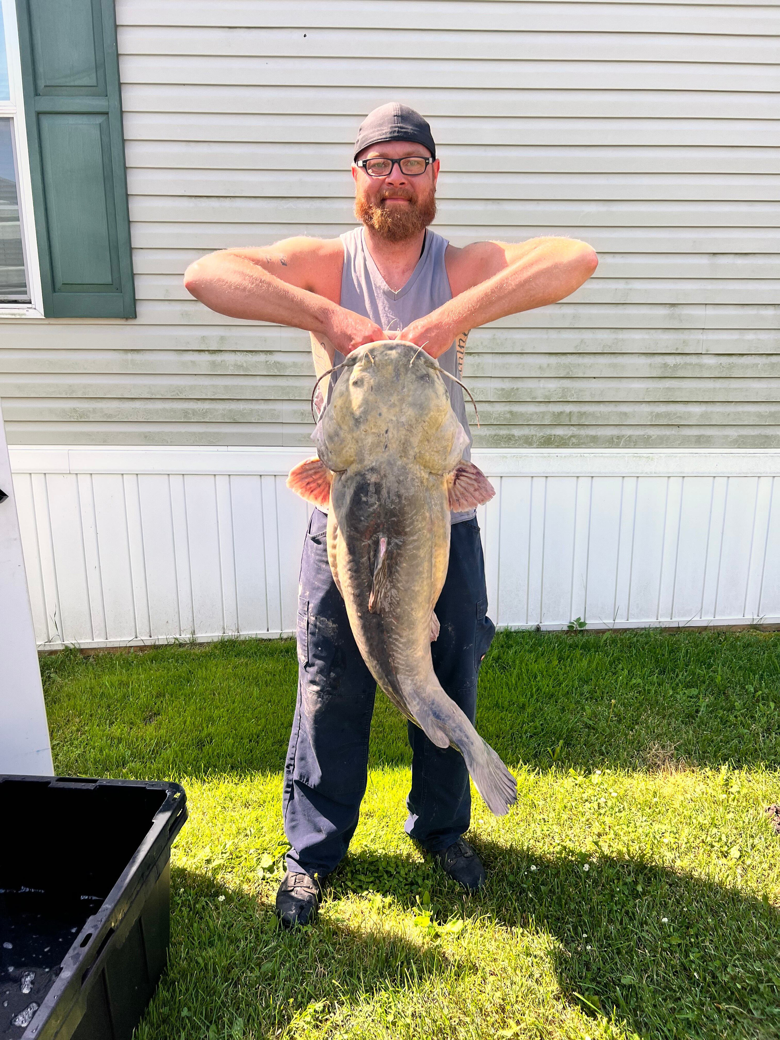 Catch of a lifetime: New state-record flathead catfish weighs in above 64  pounds, image size:768x1024