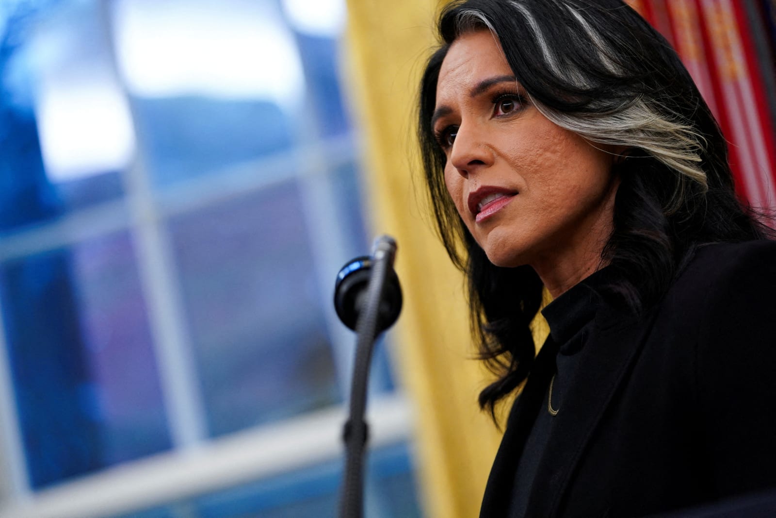 'What are they hiding?' 'Desperate' Tulsi Gabbard slammed over MLK stunt