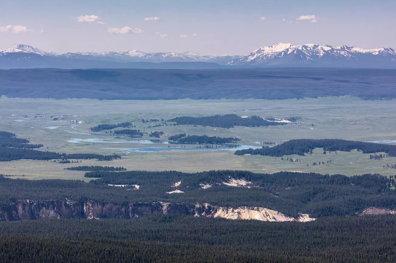Yellowstone officials shut down rumors of animals leaving due to possible volcanic eruption