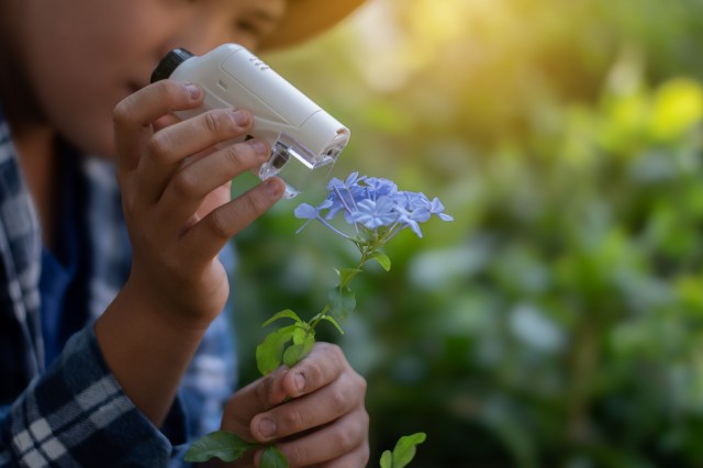 Brilliant teenage students develop mind-blowing inventions to solve ...