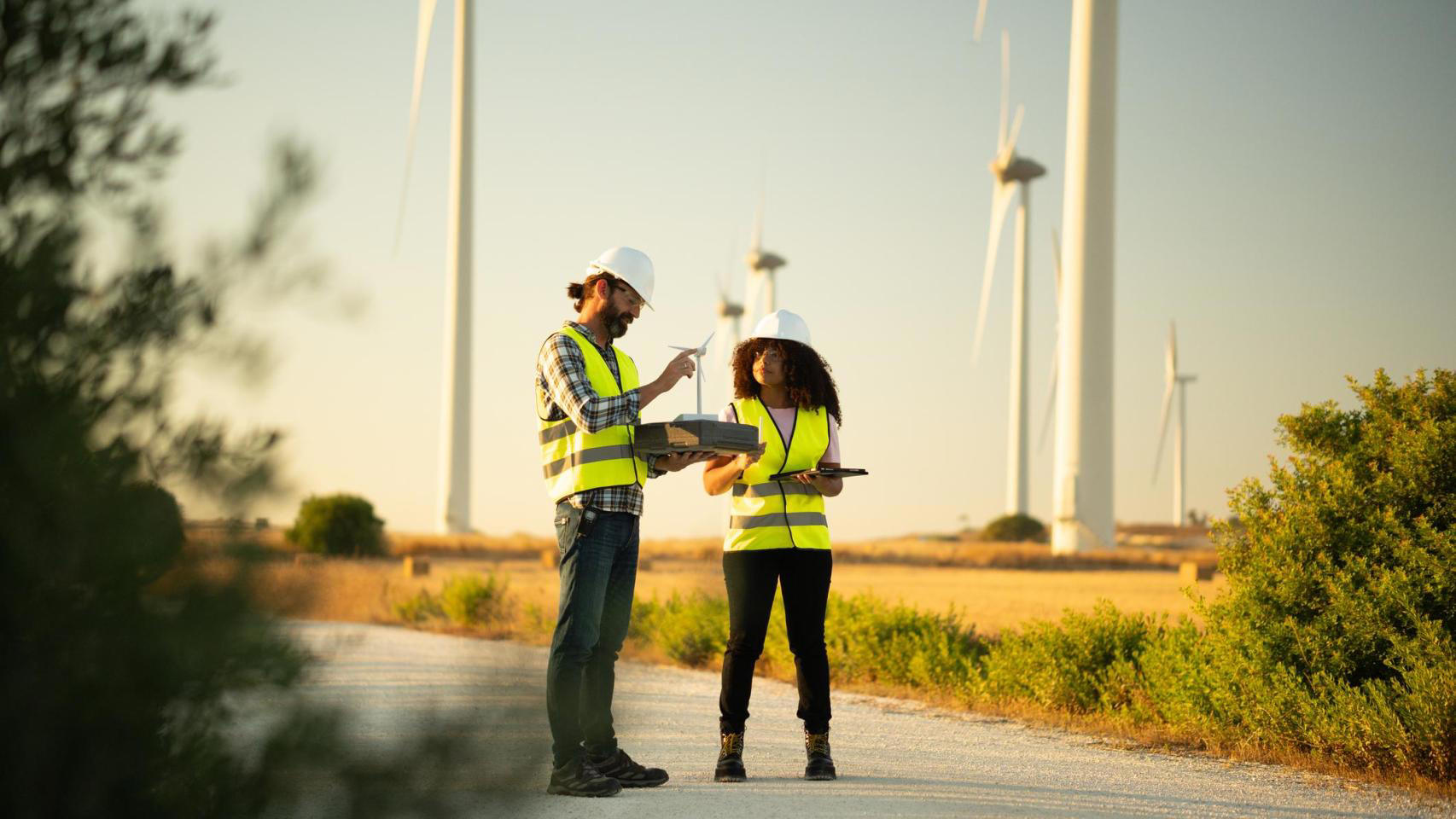 La transición energética llega al empleo: las renovables apoyan la La transición energética llega al empleo: las renovables apoyan la