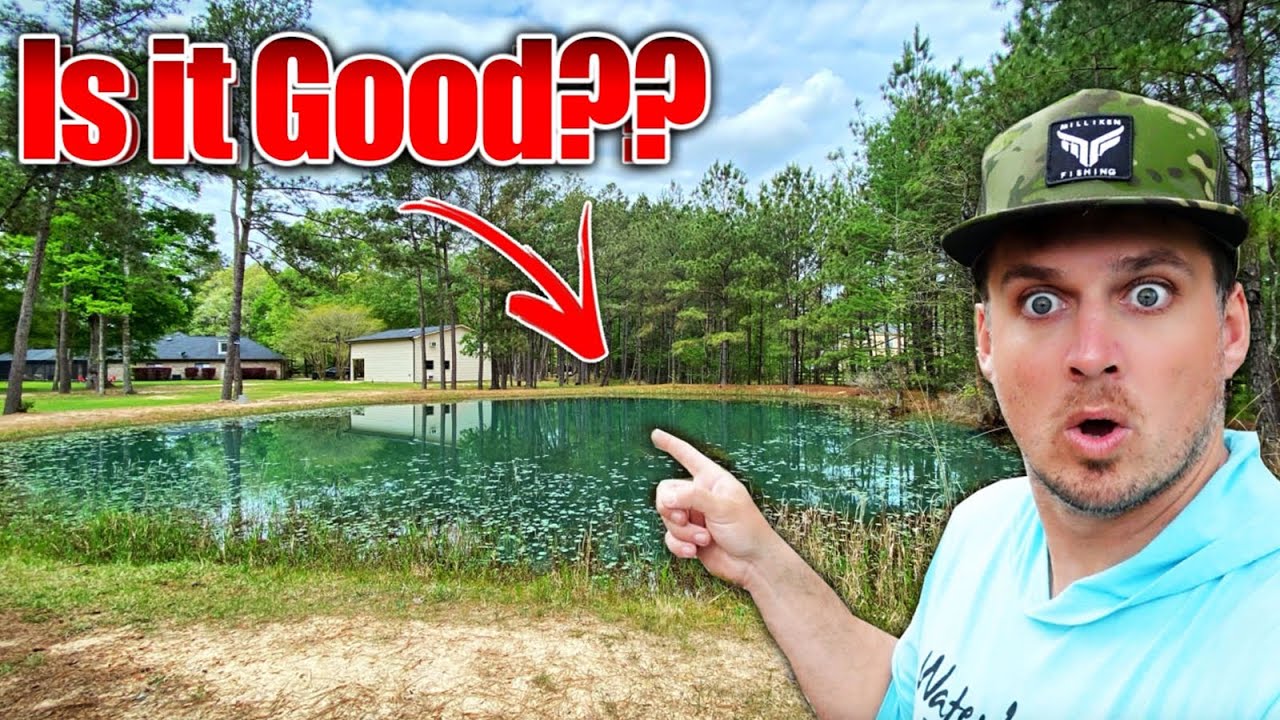 First-time backyard pond fishing uncovers massive fish
