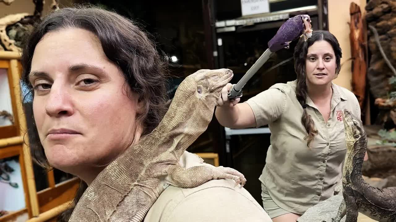 SMARTEST LIZARDS on the Planet