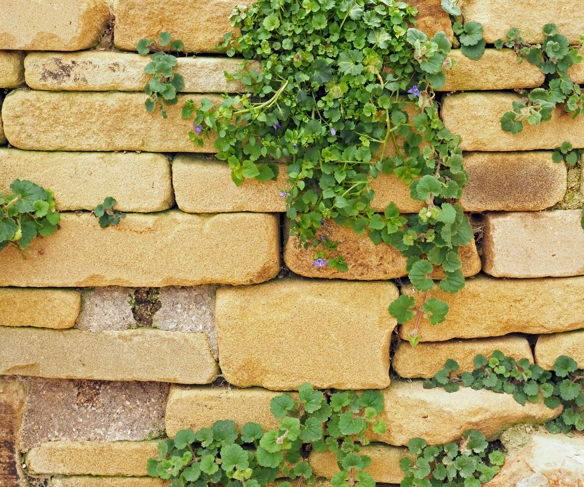 Rustic stone wall