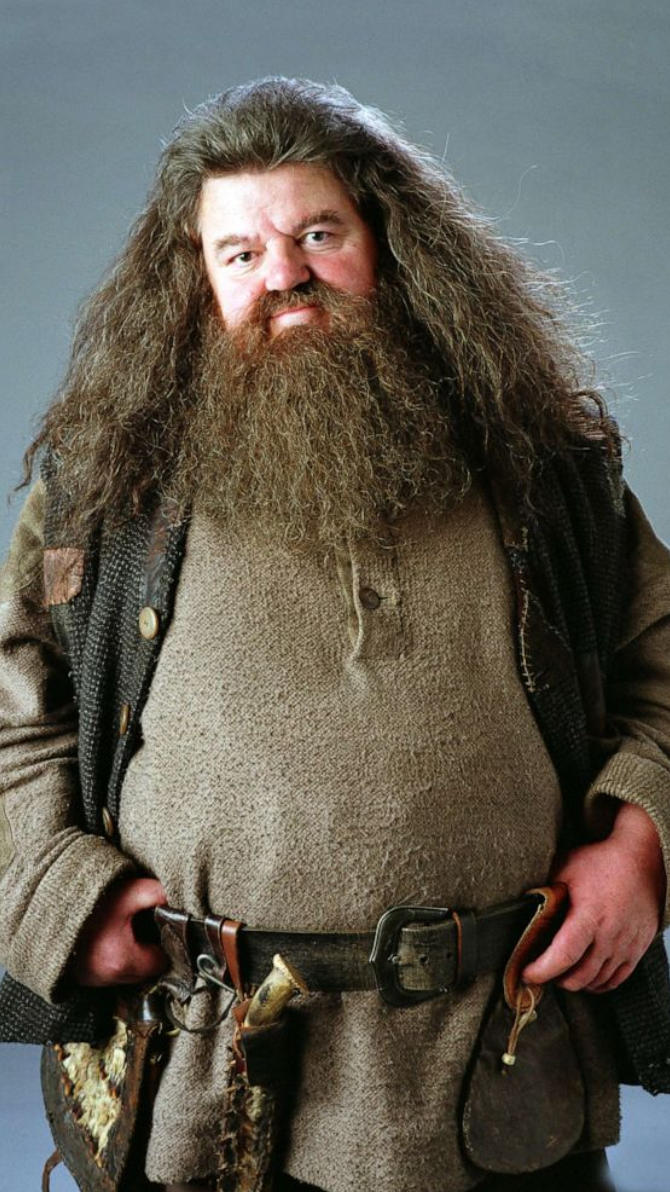 What Happened To Hagrid After Harry Potter Ended?