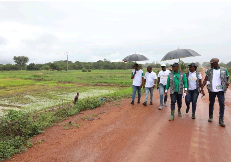 Filière coton/Profilage des pistes: Une mission de supervision constate le bon déroulement des travaux