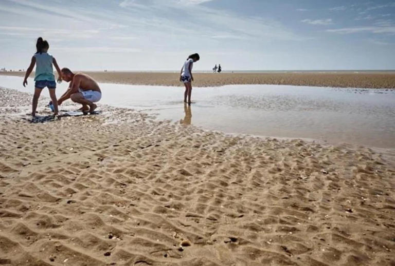 This beach is the most dog friendly in East Sussex according to new survey