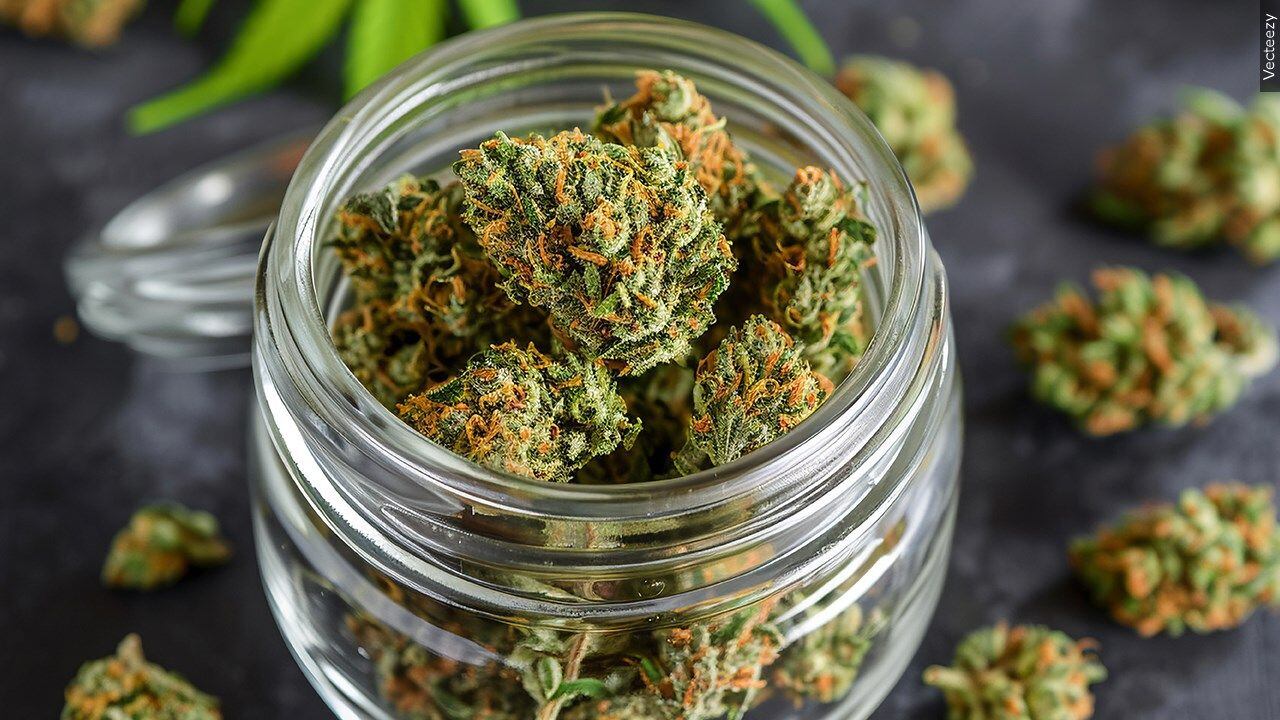 $3.8M from marijuana sales hits Colorado Springs, here's where the ...