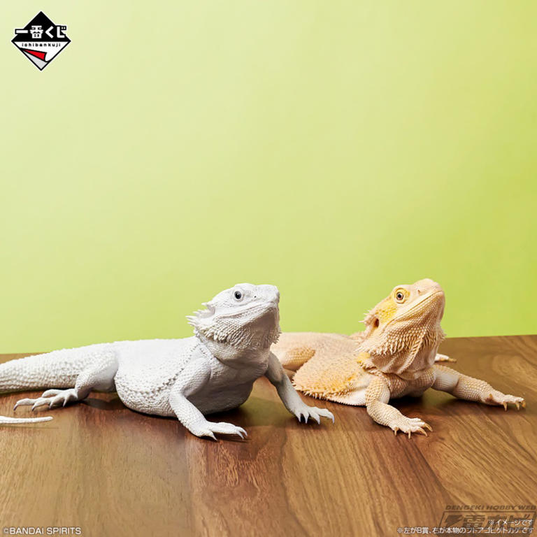 アオジタトカゲやフトアゴヒゲトカゲのリアルフィギュアなど