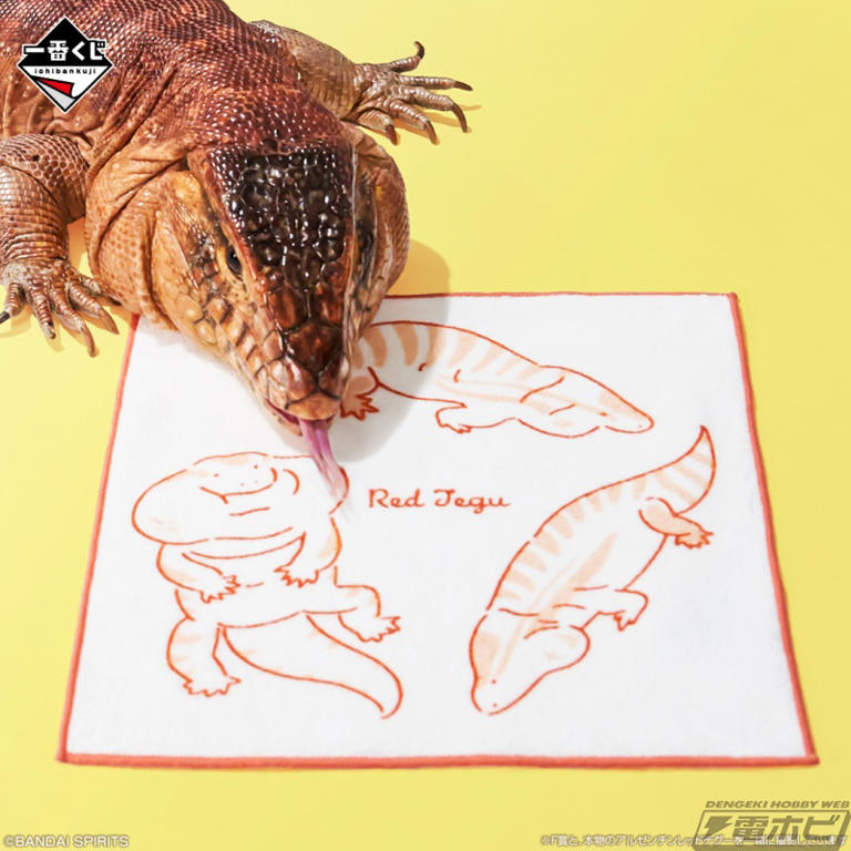 一番くじ　爬虫類＆両生類　フィギュア　アオジタトカゲ　フトアゴヒゲトカゲ ハイポ 65304a35-4b2d-4322-9362-