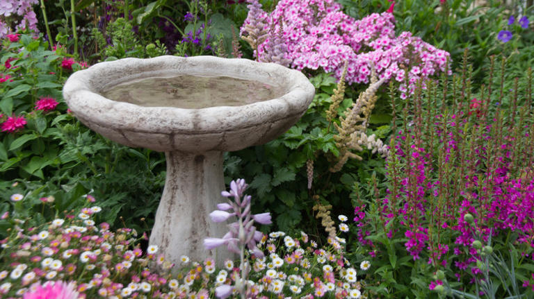 What is a Mississippi Bird Bath: Stunning Outdoor Decor Ideas