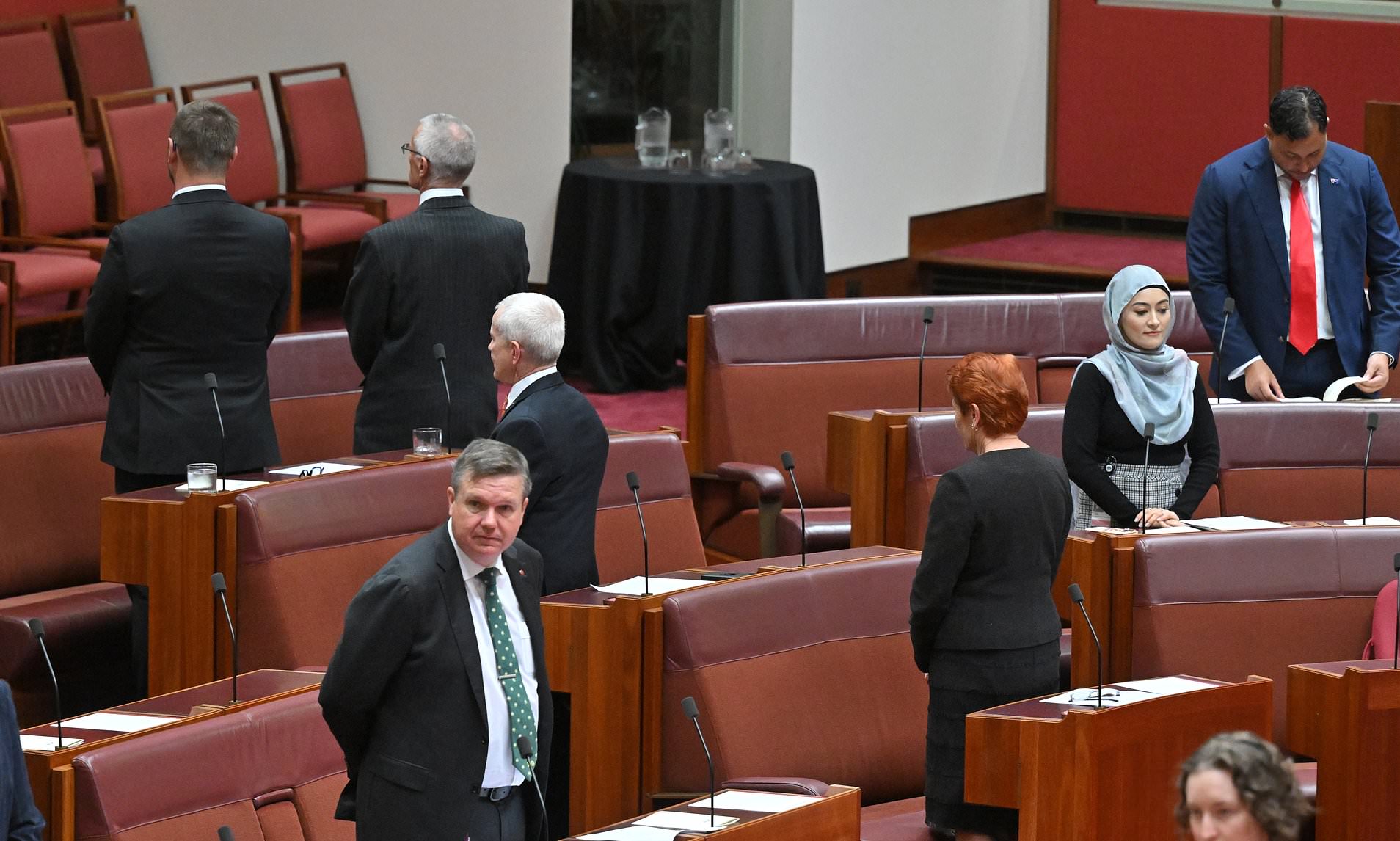 Backlash erupts over Pauline Hanson's latest stunt in Parliament