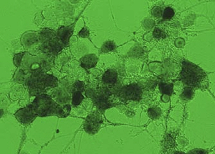 Some tourist attractions in Bali, Indonesia, have been designated as ...