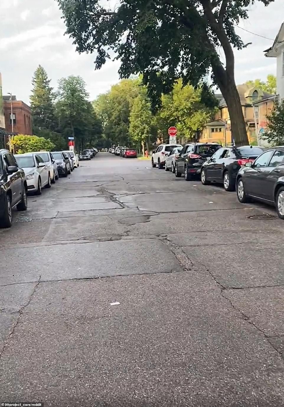 Car vandalism spree across Minneapolis