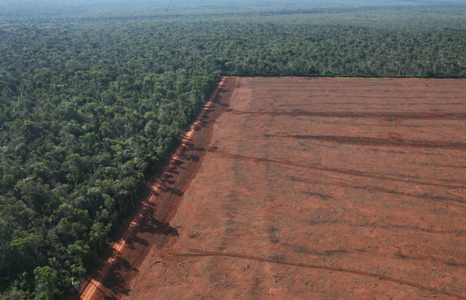 It could be too late to save these incredible natural wonders