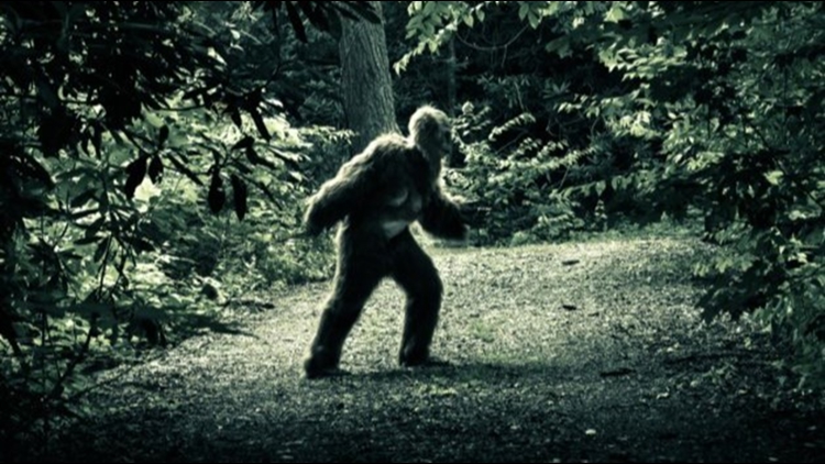 From Bigfoot To Big Plants And Back To School Bashes There S Plenty To