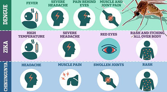 Experts warn of another global epidemic as rare virus spreads to new areas