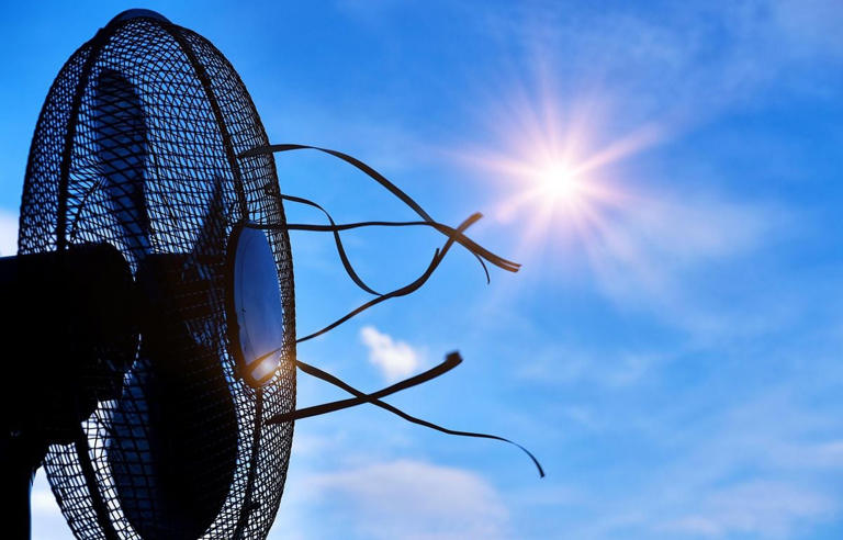 Canicule les magasins ontils le droit d’augmenter les prix des — free download